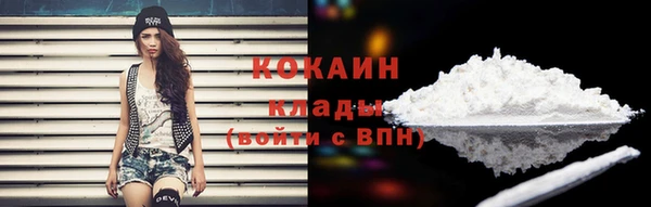 гидропоника Гусев