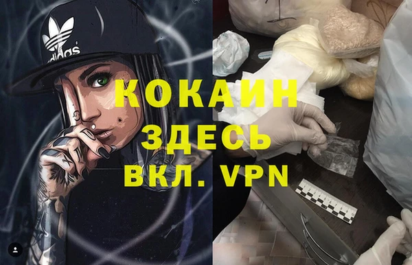 гидропоника Гусев