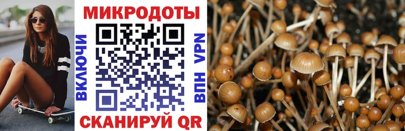 Купить где  Зверево  Галлюциногенные грибы MAGIC MUSHROOMS 